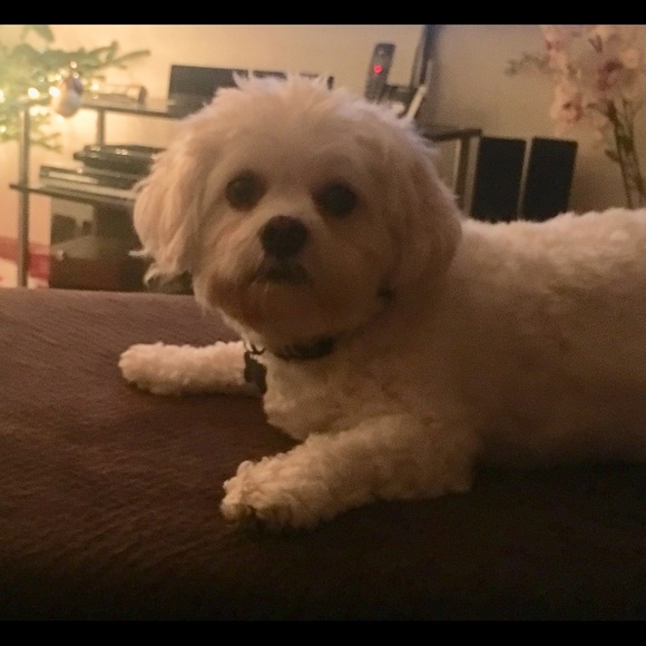 Meet your Posher, Peggy - Picture 1 of 1